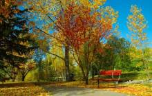 Free autumn wallpaper - Autumn