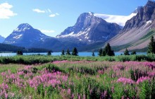 Bow Lake - Canadian Rockies - Canada