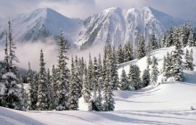 Winter Wonderland - British Columbia - Canada