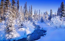 Banff in Winter - Alberta - Canada