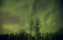 Northern Lights - Alberta - Canada