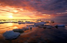 Summer Pack Ice at Sunset - Ivvavik National Park - Canada