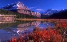 Mountain Vista - Jasper National Park - Canada