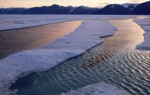 Arctic Waters - Baffin Island - Canada