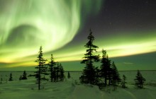 The Northern Lights in Winter - Churchill - Manitoba - Canada