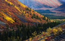 Autumn in the Ogilvie Mountains - Yukon - Canada