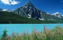 Mount Chephren - Waterfowl Lakes - Canadian Rockies - Canada