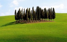 Scenic Siena Province - Tuscany - Italy