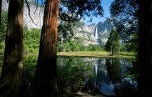 Mirrored - Upper Yosemite Falls - Yosemite National Park - California