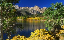Twin Lakes - Toiyabe National Forest - California