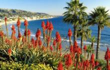 California beach photos - California