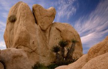 Heart-Shaped Rock - Joshua Tree National Park - California