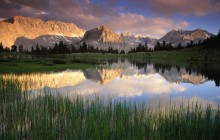 Pioneer Basin Morning - John Muir Wilderness - California