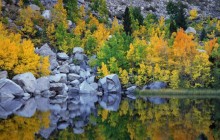 Autumn Color - Eastern Sierra - California
