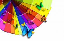 Colorful butterflies wallpaper - Colorful