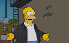 Homer Simpson 20 season - Simpsons