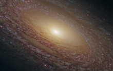 Spiral Galaxy NGC 2841 - Space