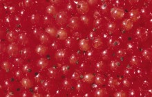 Redcurrant in water - Food
