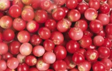 Cranberries - Food
