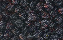 Blackberries - Food