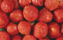 Strawberry - Food