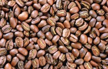 Coffee beans - Food