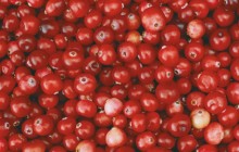 Cranberries images hd - Food