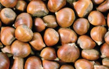 Hazelnuts - Food