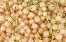 White currant - Food