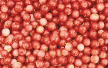 Cranberries wallpaper - Food
