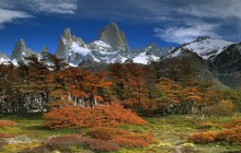Mount Fitzroy and Beech Trees - Argentina
