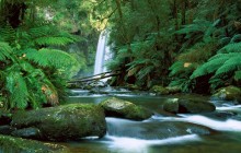 Hopetoun Falls - Aire River - Australia