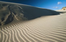 Sand Dunes in Fraser Island - Australia