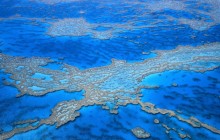 Great Barrier Reef - Australia - Australia