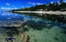 Starfish Along the Coral Coast of Viti Levu - Fiji