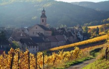 Riquewihr - Alsatian Wine Road - France - France