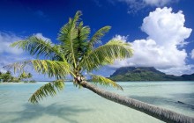 Tropical Escape - Bora Bora HD - French Polynesia