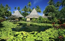 Lily Pads and Thatched Huts - French Polynesia