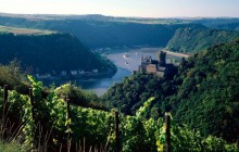 Burg Katz above the Rhine - Germany - Germany