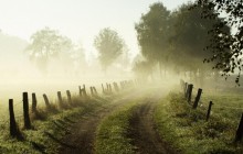 Misty Morning - Lower Saxony - Germany