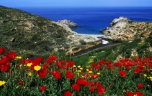 Ikaria - Aegean Islands - Greece