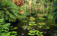Hawaii Tropical Botanical Gardens - Hawaii