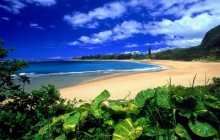 Haena Beach - Kauai - Hawaii