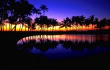 Tropical Reflections - Hawaii - Hawaii