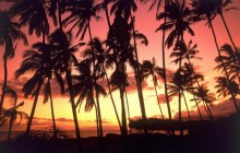 Hawaiian Sunset - Hawaii