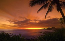 Beach House View - Hawaii - Hawaii