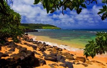 Beach Shade - Moloaa - Kauai - Hawaii