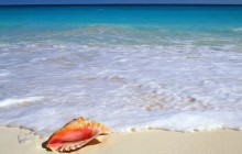Beachside Treasure - Yucatan Peninsula - Mexico