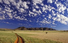 Tok Tokkie - NamibRand Reserve - Namibia