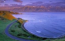 Kaikoura Peninsula - South Island - New Zealand